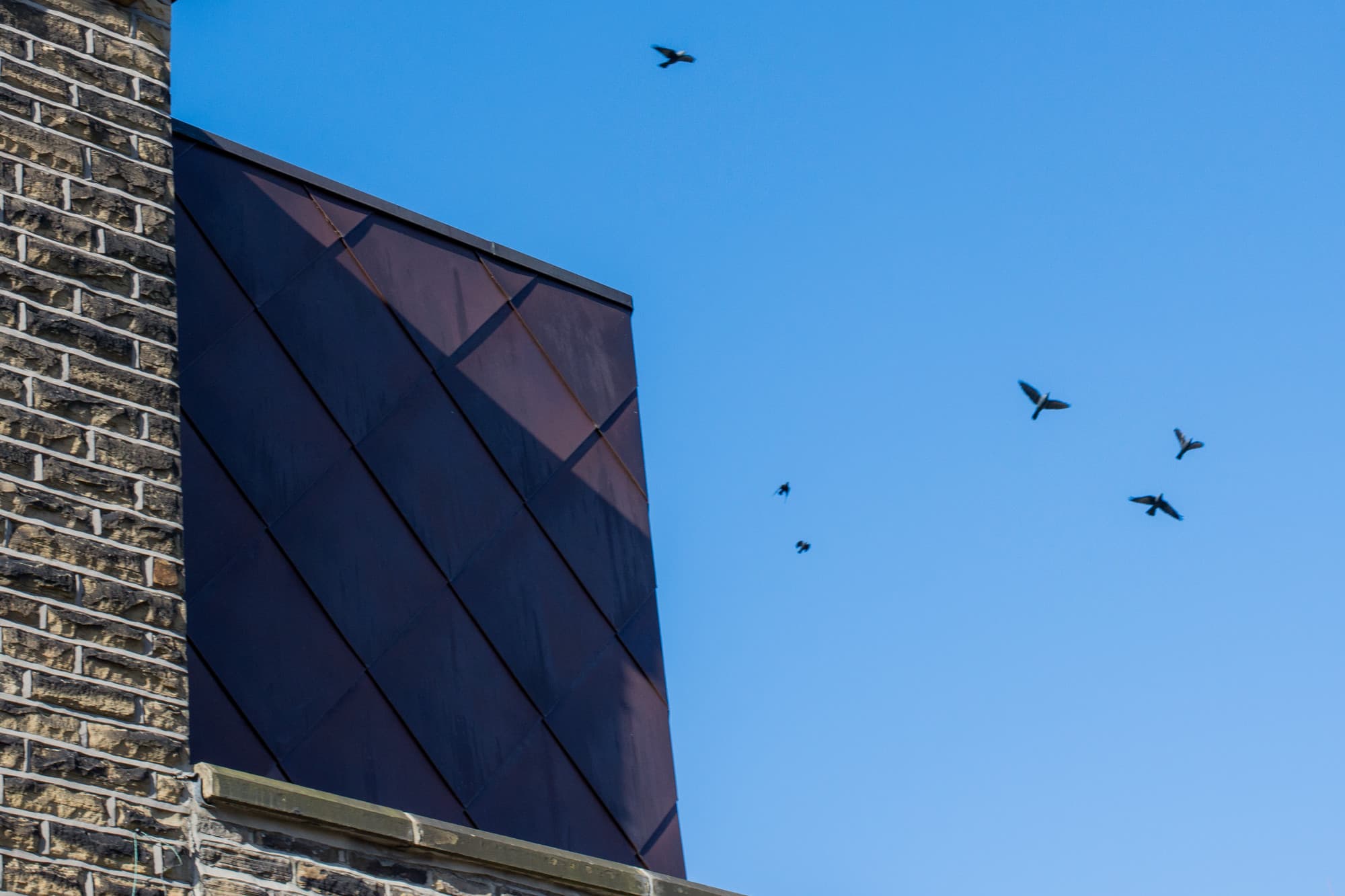 Copper cladding extension in conservation area